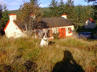 Brown's Cottage Donegal with Dougal 11 kb
